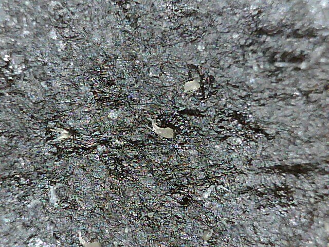 画像に alt 属性が指定されていません。ファイル名: B282-20200705_162111-1.jpg